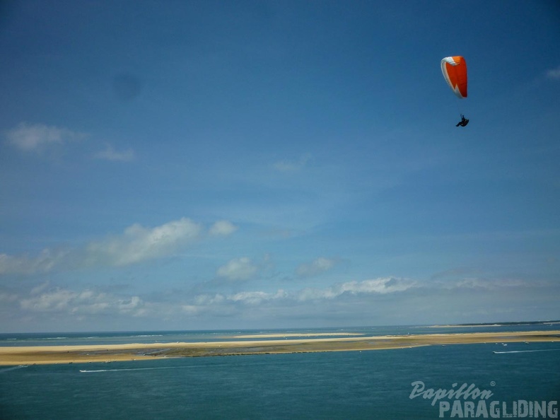 Papillon Dune du Pyla-2016-1249