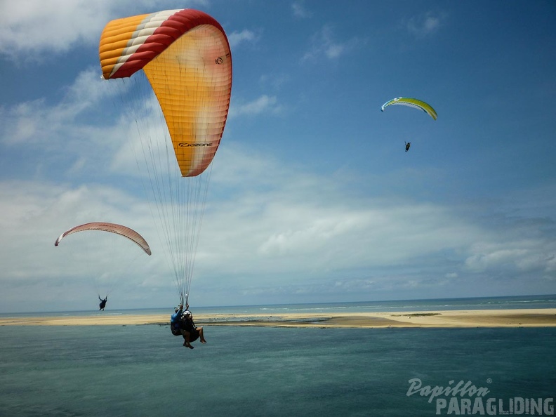 Papillon Dune du Pyla-2016-1258