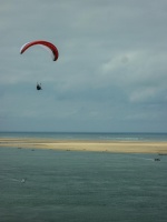 Papillon Dune du Pyla-2016-1262