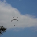 Papillon Dune du Pyla-2016-1282