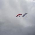 Papillon Dune du Pyla-2016-1284