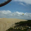 Papillon Dune du Pyla-2016-1286