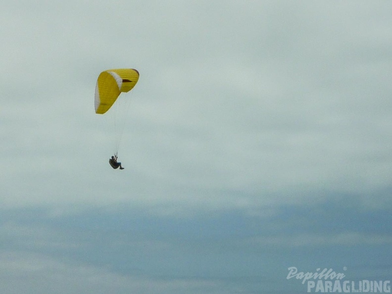 Papillon Dune du Pyla-2016-1293