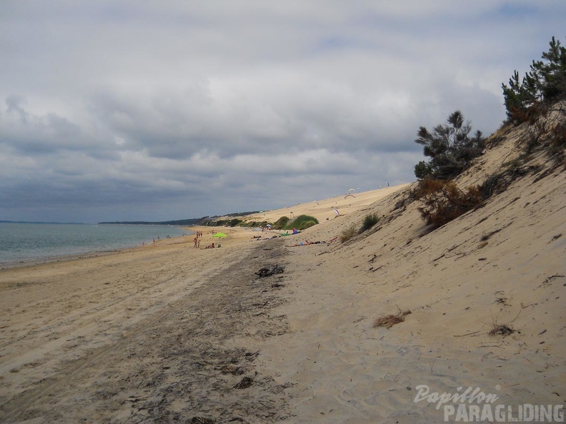 Papillon_Dune_du_Pyla-2016-1294.jpg