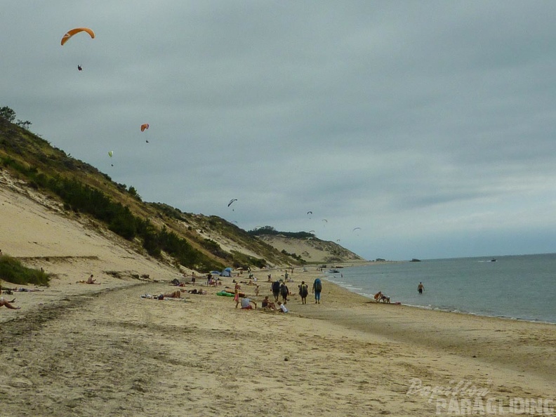 Papillon Dune du Pyla-2016-1304
