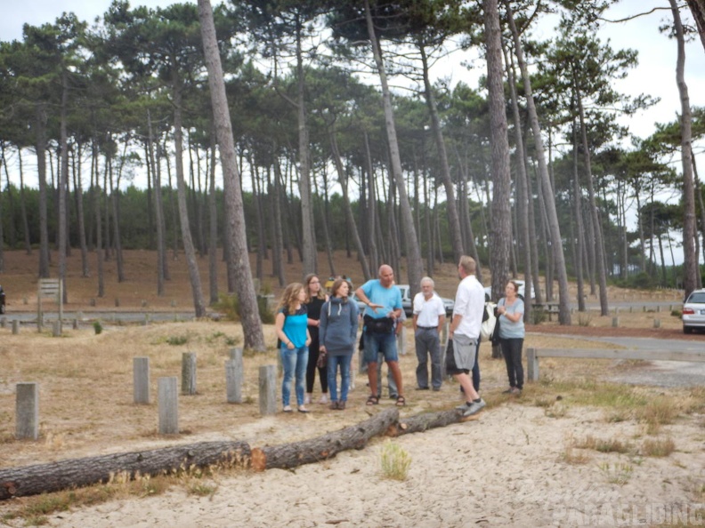 Papillon Dune du Pyla-2016-1308