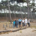 Papillon Dune du Pyla-2016-1308