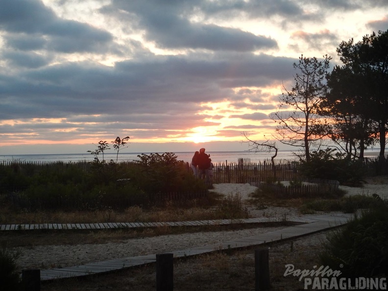 Papillon Dune du Pyla-2016-1310