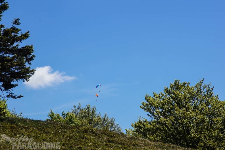 FE21.17 Vogesen-Paragliding-107