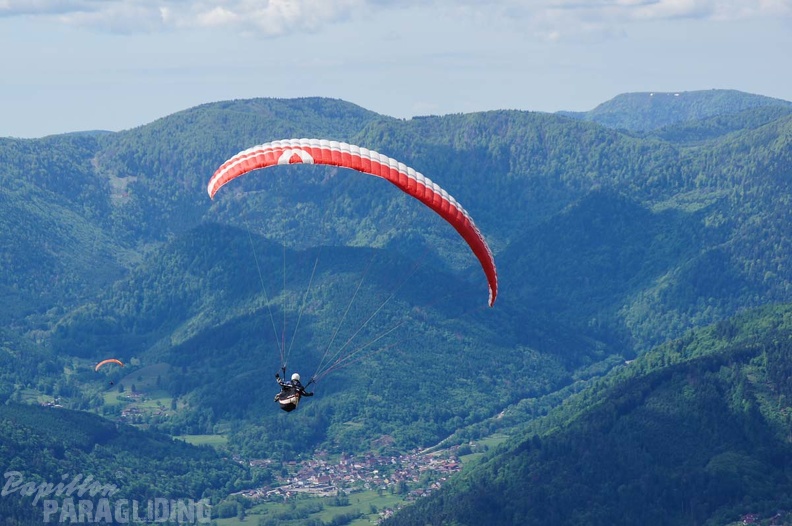 FE21.17 Vogesen-Paragliding-141