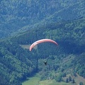 FE21.17 Vogesen-Paragliding-142