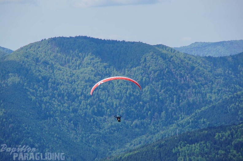 FE21.17 Vogesen-Paragliding-143