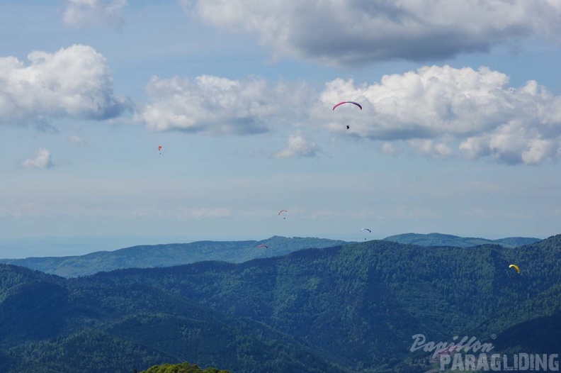 FE21.17_Vogesen-Paragliding-154.jpg