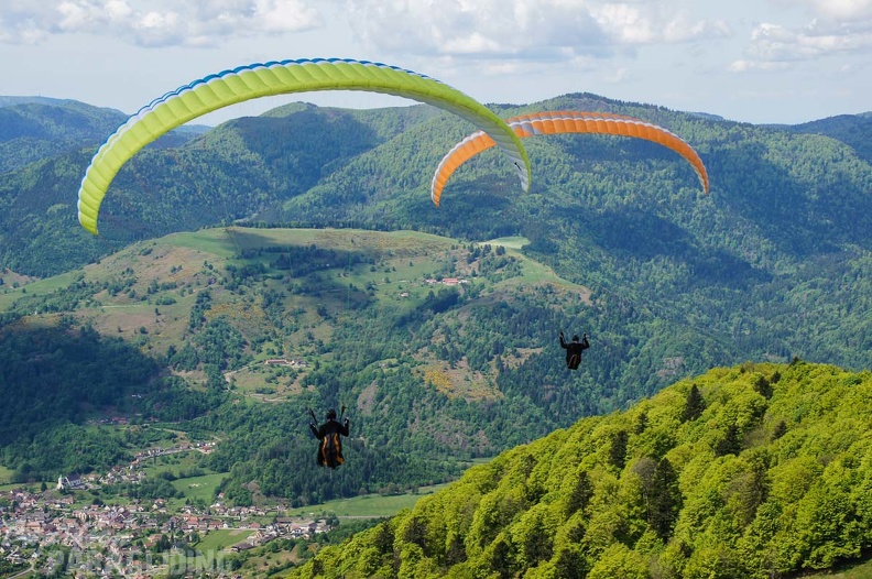 FE21.17 Vogesen-Paragliding-182