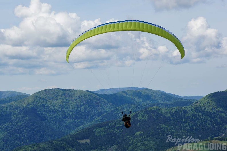 FE21.17 Vogesen-Paragliding-183