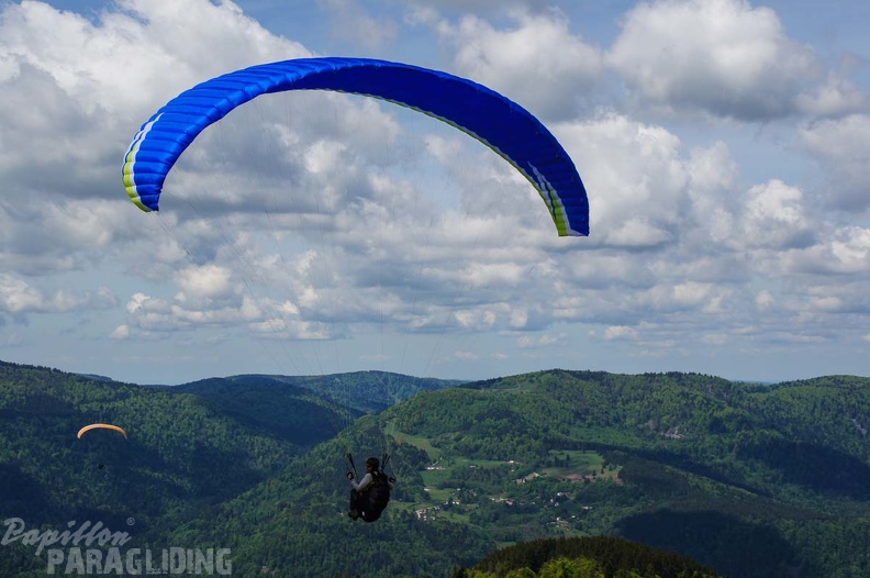 FE21.17 Vogesen-Paragliding-187