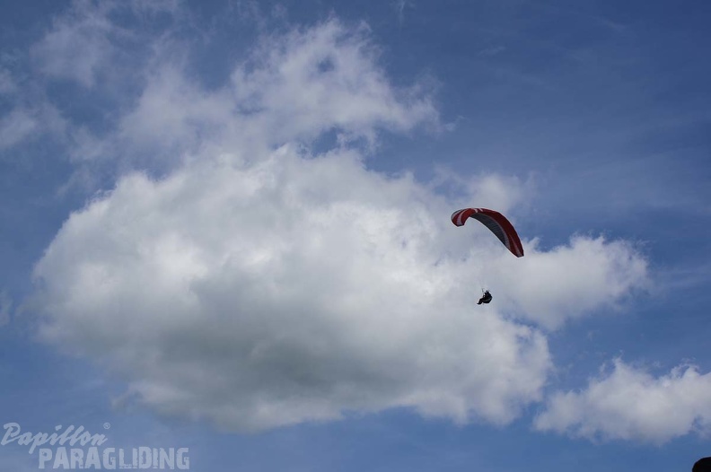 FE21.17 Vogesen-Paragliding-206