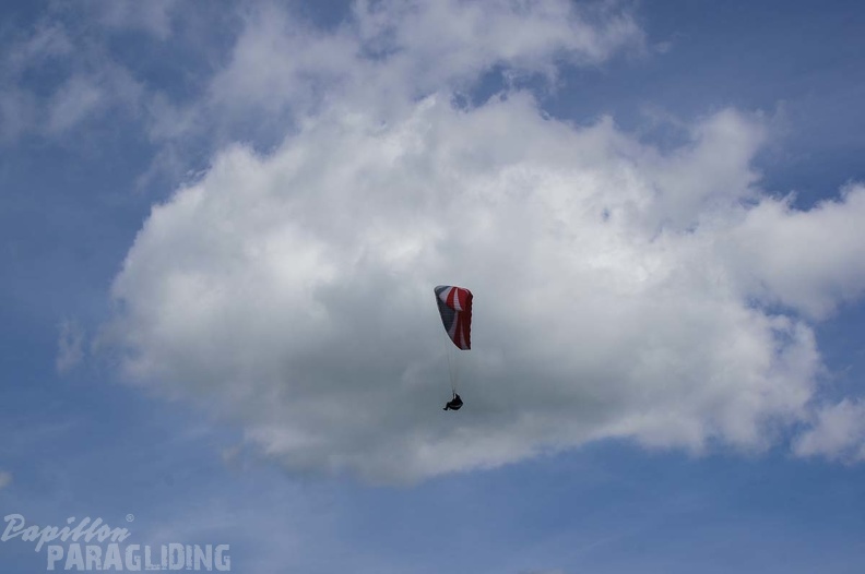 FE21.17 Vogesen-Paragliding-207