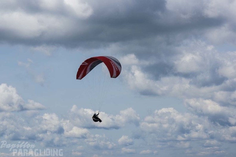 FE21.17 Vogesen-Paragliding-212