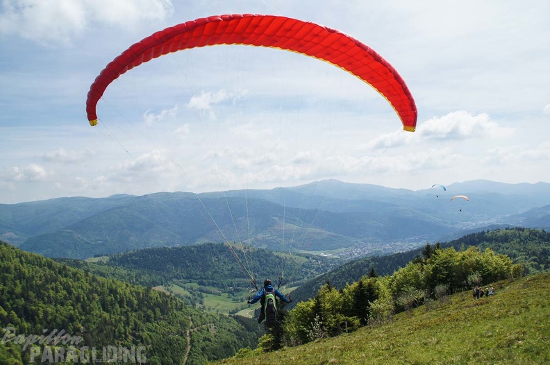 FE21.17 Vogesen-Paragliding-267