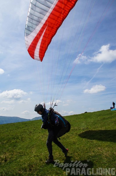 FE21.17 Vogesen-Paragliding-277