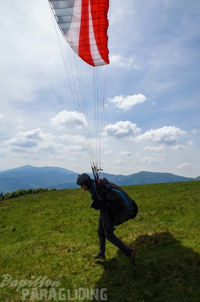FE21.17 Vogesen-Paragliding-278