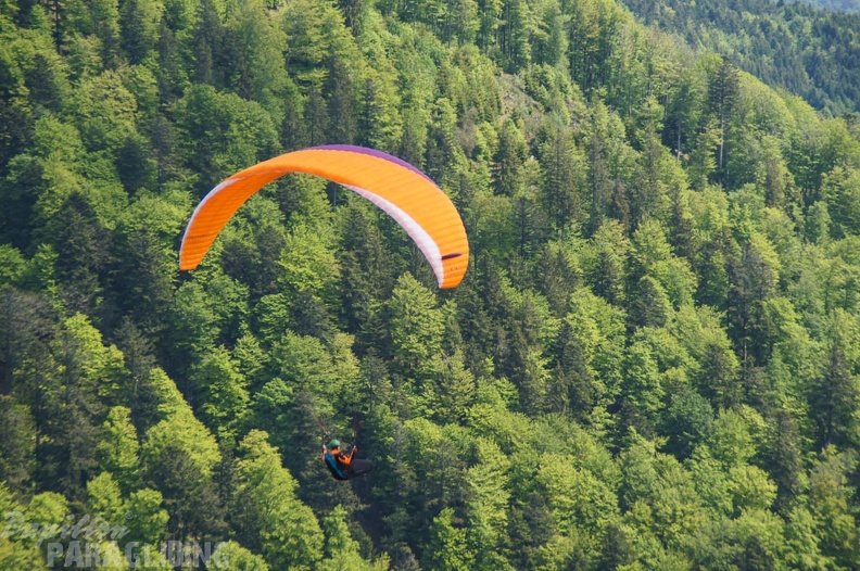 FE21.17 Vogesen-Paragliding-297