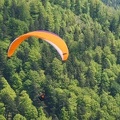 FE21.17 Vogesen-Paragliding-297