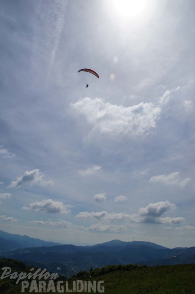 FE21.17 Vogesen-Paragliding-305