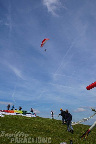 FE21.17 Vogesen-Paragliding-311