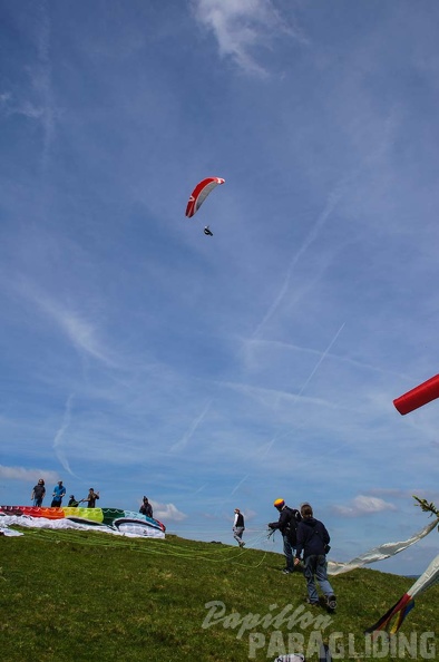 FE21.17 Vogesen-Paragliding-311