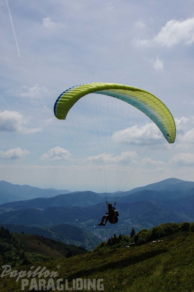 FE21.17 Vogesen-Paragliding-321