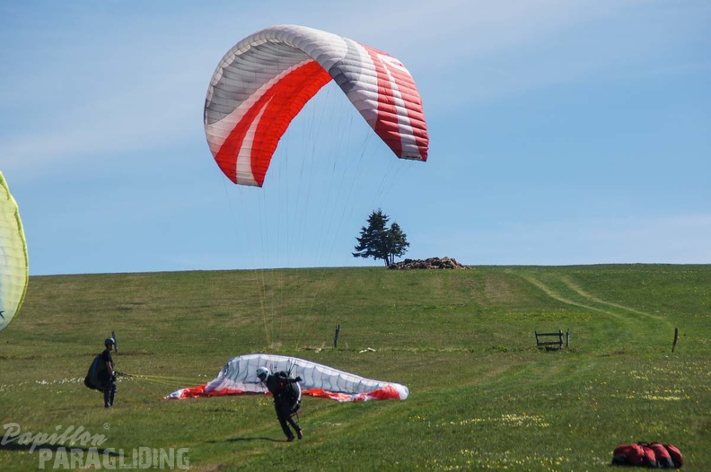 FE21.17_Vogesen-Paragliding-332.jpg