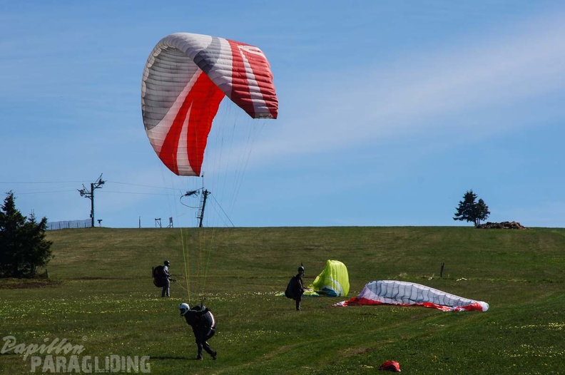 FE21.17 Vogesen-Paragliding-334