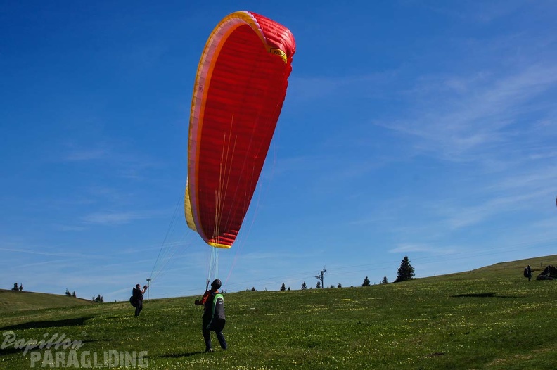 FE21.17 Vogesen-Paragliding-335