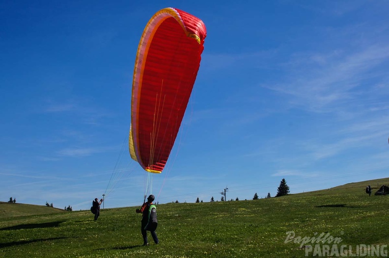 FE21.17 Vogesen-Paragliding-335