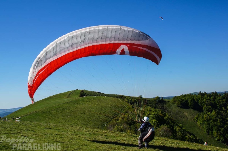 FE21.17 Vogesen-Paragliding-370