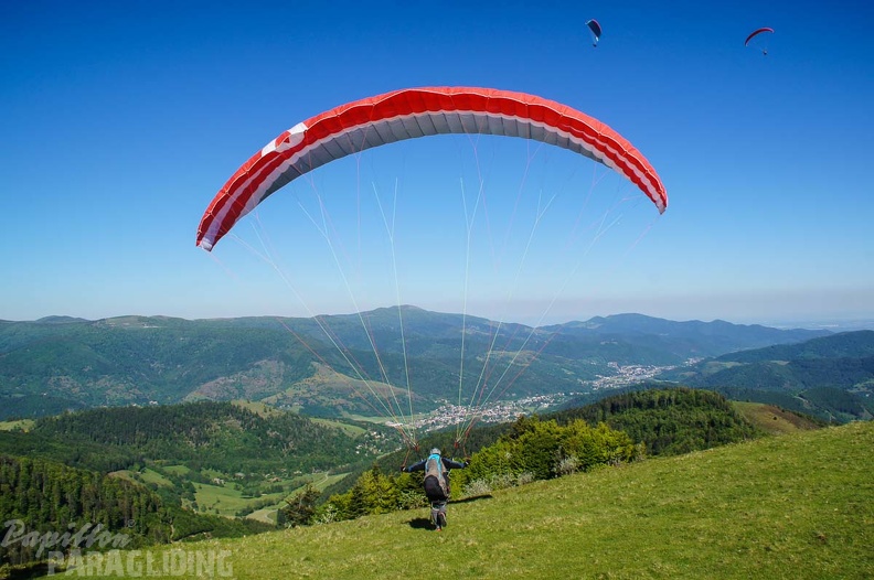FE21.17 Vogesen-Paragliding-374