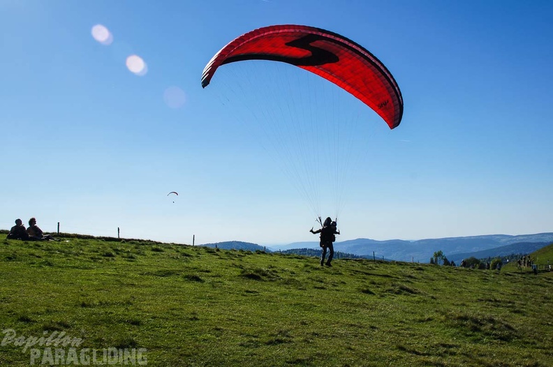 FE21.17 Vogesen-Paragliding-408