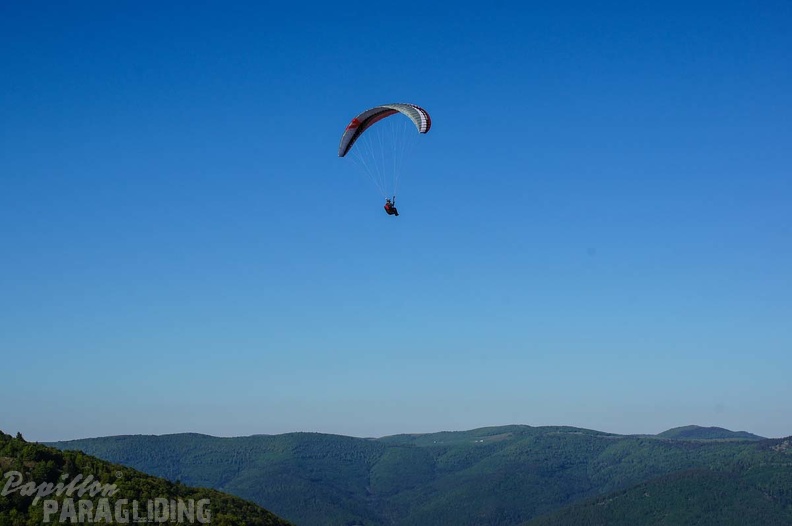 FE21.17 Vogesen-Paragliding-417