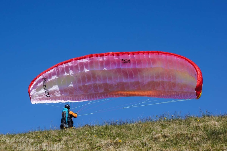 FE21.17 Vogesen-Paragliding-427