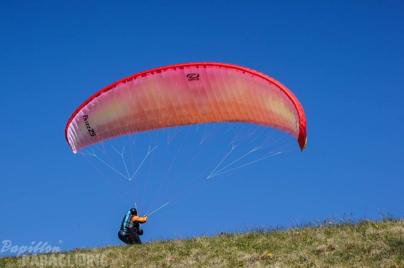 FE21.17 Vogesen-Paragliding-428