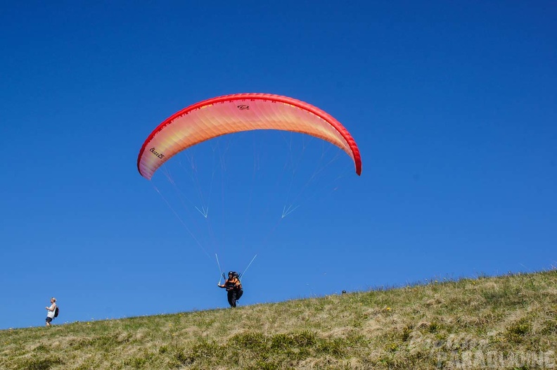 FE21.17 Vogesen-Paragliding-429