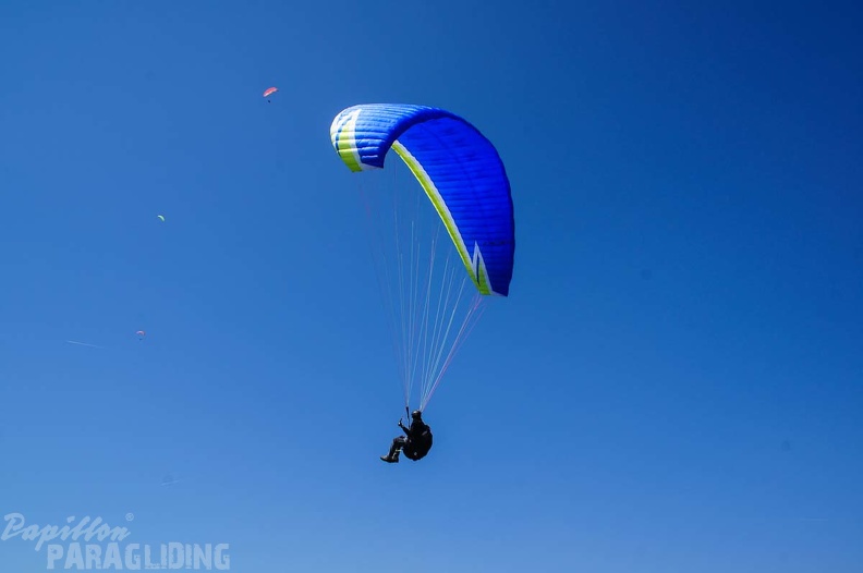 FE21.17 Vogesen-Paragliding-435