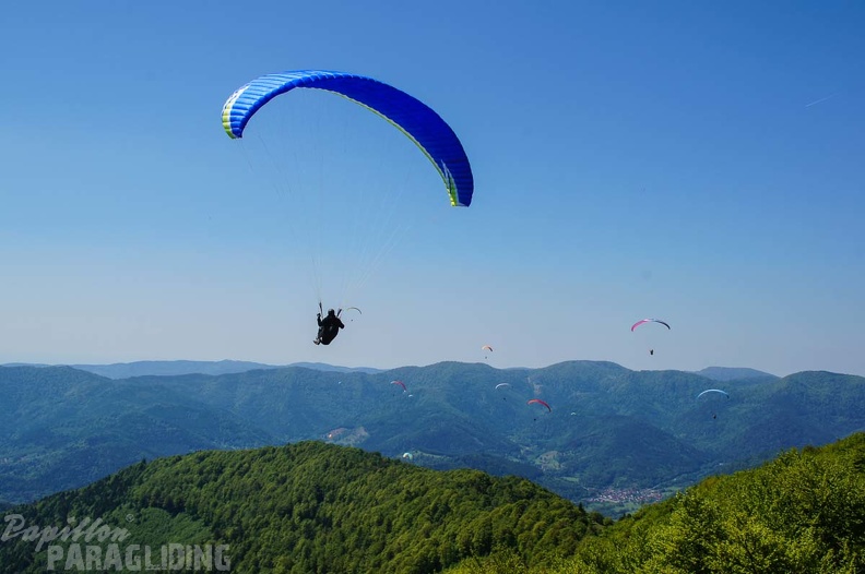 FE21.17 Vogesen-Paragliding-436