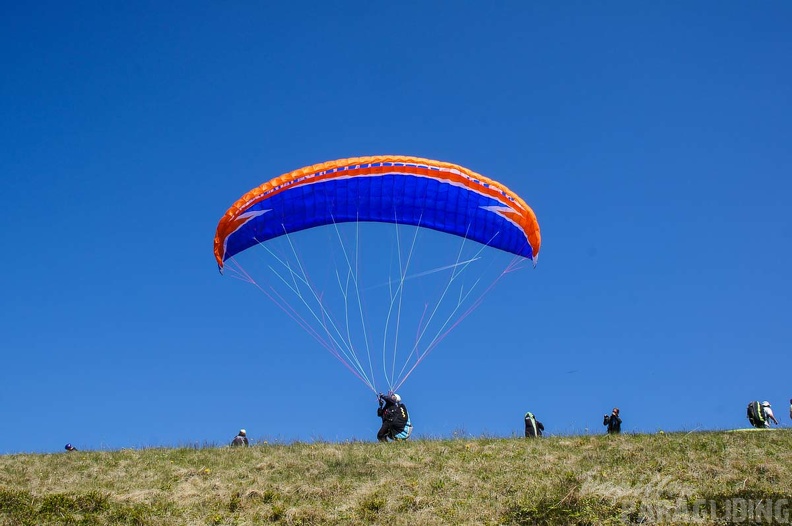 FE21.17 Vogesen-Paragliding-437