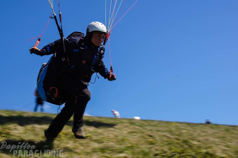 FE21.17 Vogesen-Paragliding-440