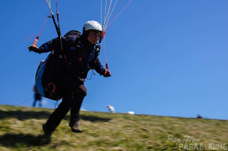 FE21.17 Vogesen-Paragliding-440