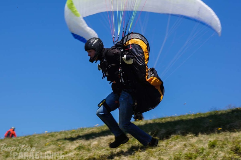 FE21.17 Vogesen-Paragliding-445