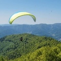 FE21.17 Vogesen-Paragliding-448